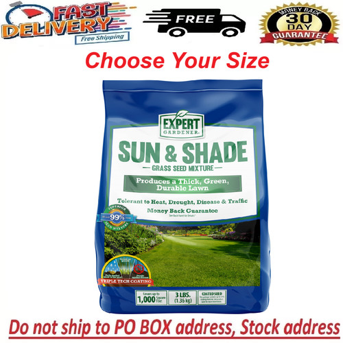 Grass seed sun - seed,