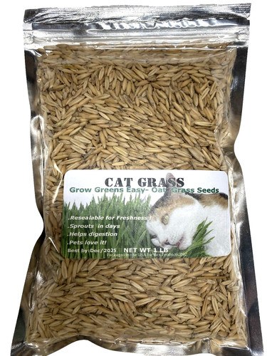 Cat grass oat seeds 1lb - seeds, 1lb(3,000+